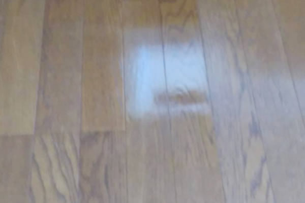 補修した床