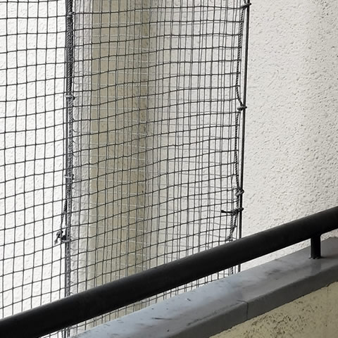ハトネットの取り付け