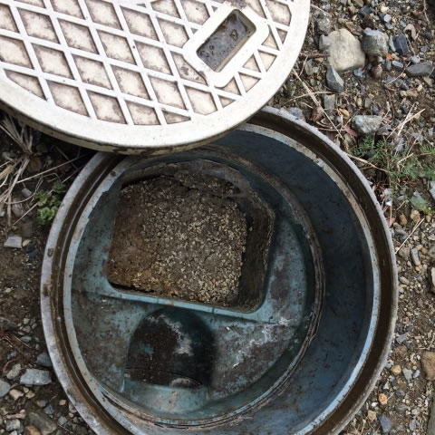 排水マスの確認