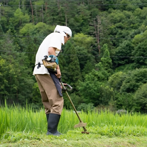 草刈り機で草刈り作業