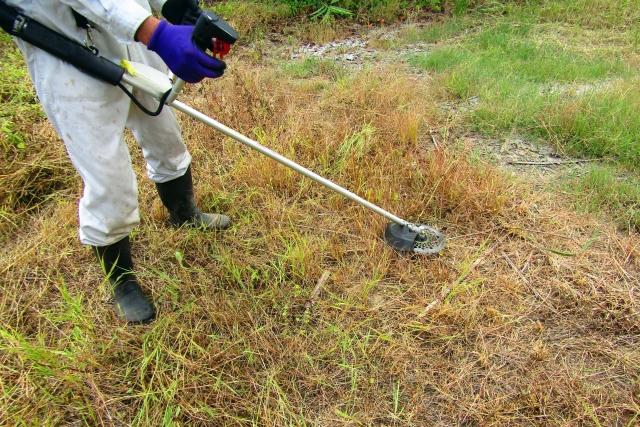 草刈り機で草刈り