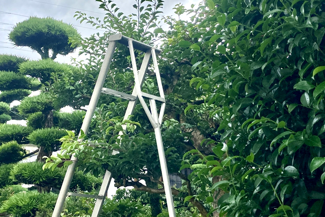 高い脚立