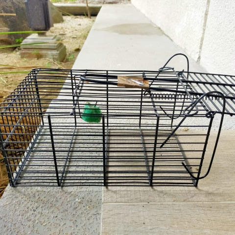 ネズミ捕り機