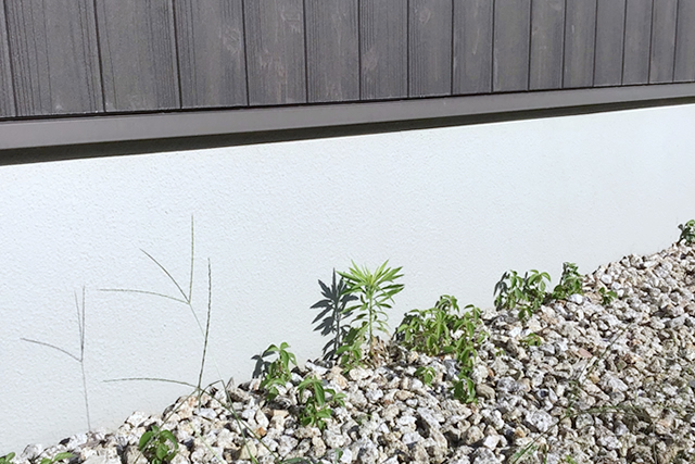 雑草の生えた砂利