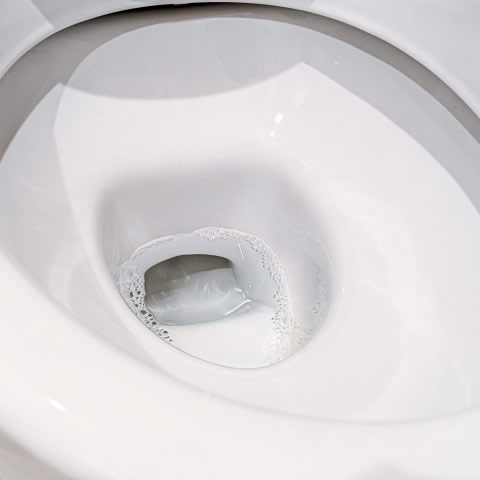 トイレの排水