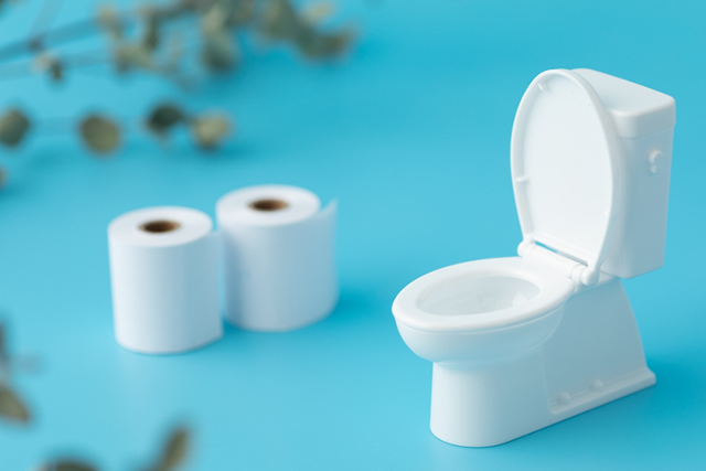 トイレットペーパーとトイレ