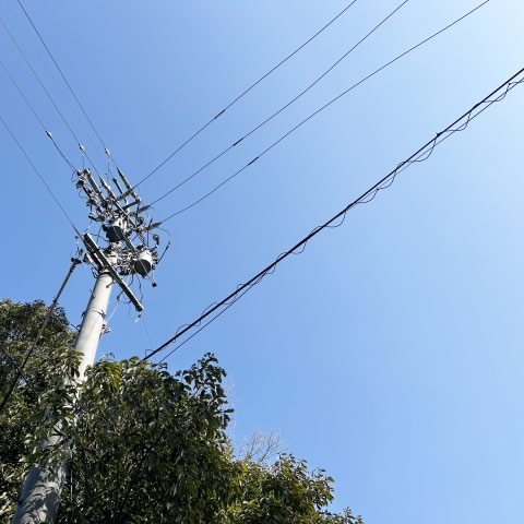 電線にかかりそうな庭木