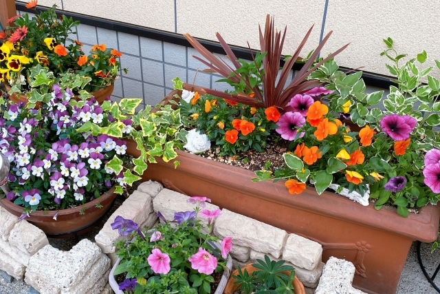 外にある植木鉢