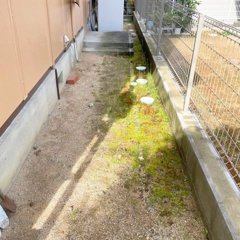 防草シート施工前